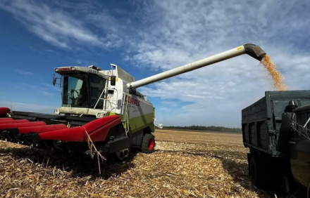 Жатка кукурудзяна 8 рядкова Corn Plant